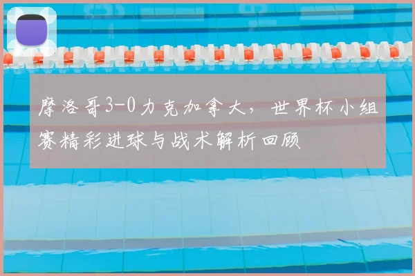 摩洛哥3-0力克加拿大,世界杯小组赛精彩进球与战术解析回顾
